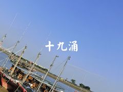 -大湾区中央湿地公园-十九涌