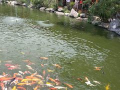-大门水乡·顺德菜