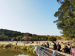 -牛岗山公园