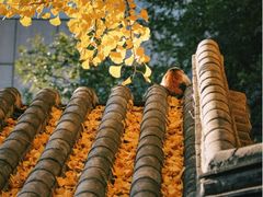 -沈阳市东陵公园