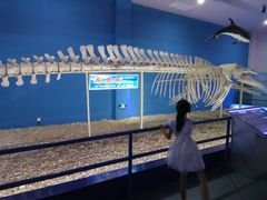 -福州罗源湾海洋世界旅游区