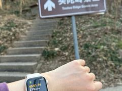 -紫金山山顶公园