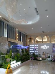 -深圳美莱医疗美容医院