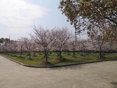 -无忧学车·华茂基地(宝山校区)
