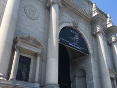 -美国自然历史博物馆