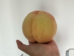 -老袁家蜜桃农场·阳山水蜜桃