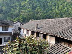 -四明山国家森林公园