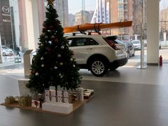 -河南威佳金凯汽车销售服务有限公司