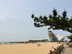 -琴岛之星摩天轮