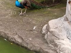 -南昌动物园