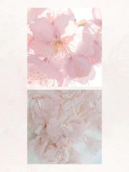 点击看大图 -WECOUTURE高级订制广州