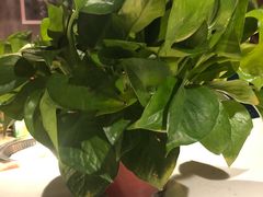 -格瑞欧海鲜自助烤肉火锅(光彩店)