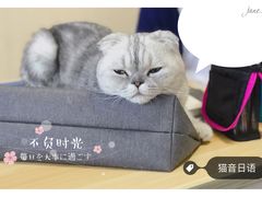 -猫音日语留学培训