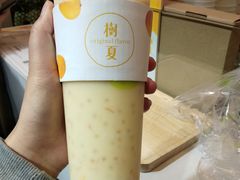 -树夏(建设路店)