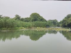 -西溪国家湿地公园