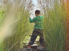 -汉长安城未央宫国家考古遗址公园