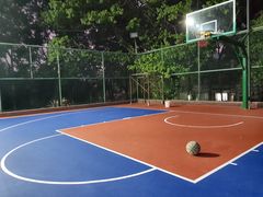 -金湖花园篮球场