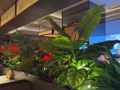 -辛香汇·现炒川菜(城北万象城店)