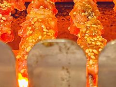 -邢氏老太太烧烤(南山店)