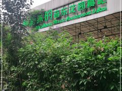 -莉莉家的音乐花园餐吧(航空路店)