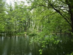 -西溪南古村落景区