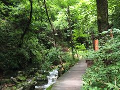 -本溪汤沟绿石谷森林公园