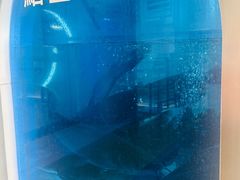 -鱼酷活鱼烤鱼(沈阳大悦城店)