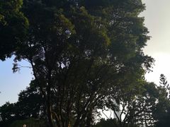 -人民公园(罗湖区)