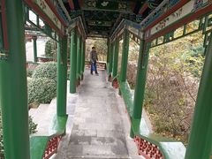 -迎泽公园