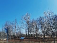 -东郊湿地公园