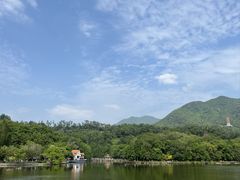 -深圳仙湖植物园