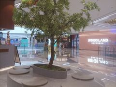 -君之狮子山·轻糖烘焙(松江印象城店)