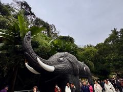 -野象谷景区