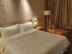 -南阳建业森林半岛假日酒店