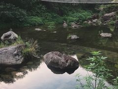 -丹山赤水风景名胜区