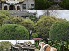 -四川大学(华西校区)