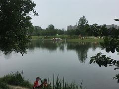 -两河城市森林公园