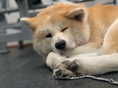 -YCHL Studios健身工作室(市二宫店)