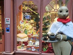 -布兰兔的植物庄园(杭州南宋御街店)