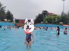 -欢乐水魔方水世界