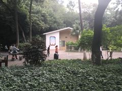 -雀儿山公园