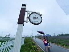 -紫颐香薰山谷景区