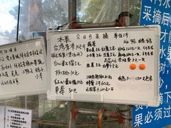 -新塘水果乐园(东洲大道店)
