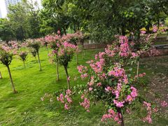 -沙河三洞古桥公园