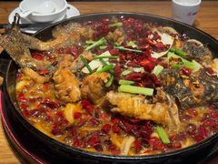 -老板恋上鱼(恒隆广场店)