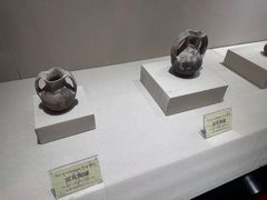 -迪庆藏族自治州博物馆