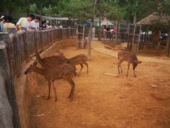 -石家庄市动物园