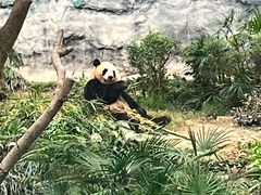 -石排湾郊野公园