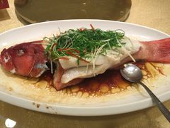 -御同亨酒楼·喜宴