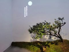 -凤凰山斑鱼馆(恭城店)